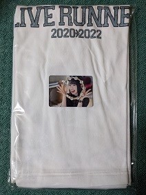 f:id:chocopurin:20211223001921j:plain