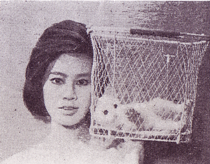 f:id:chocoramastudio:20140326215123j:image:right f:id:chocoramastudio:20140326215123j:image:right