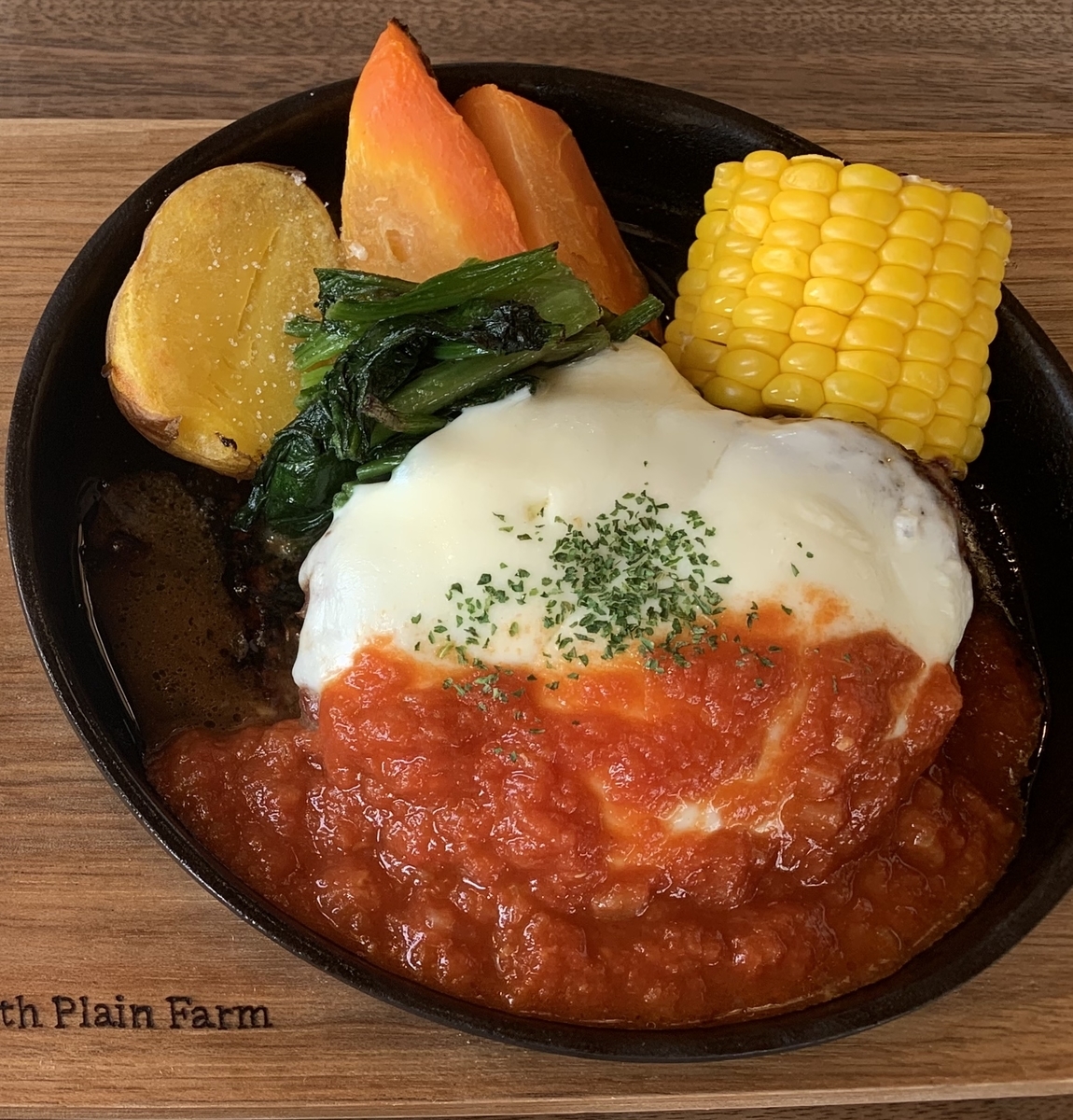 f:id:chocorash:20190317214156j:plain