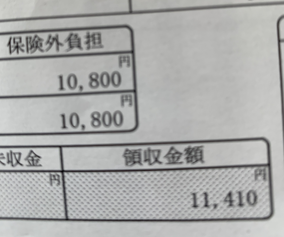 f:id:chocorash:20190325121328j:plain f:id:chocorash:20190325121328j:plain