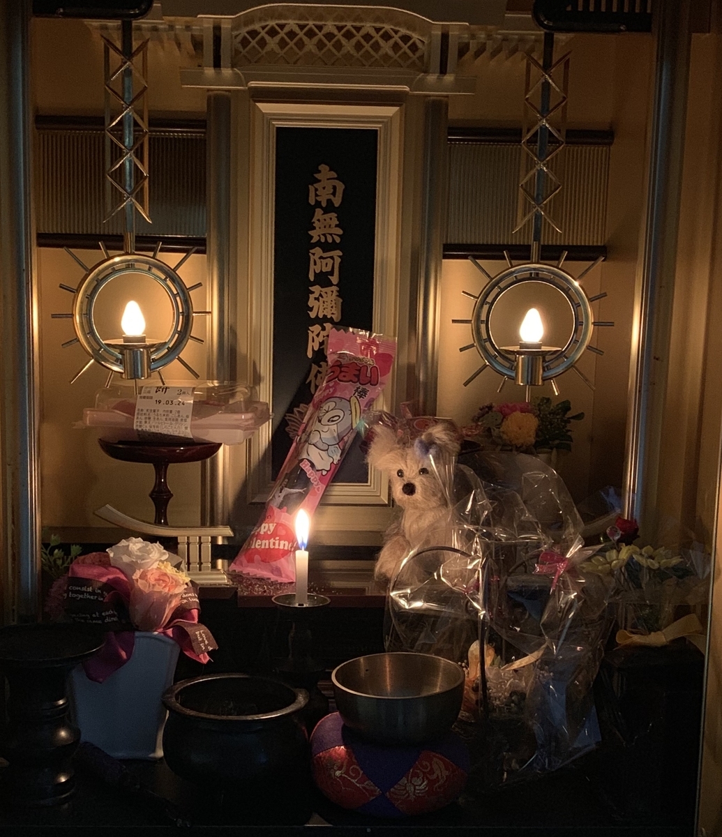 f:id:chocorash:20190505163829j:plain