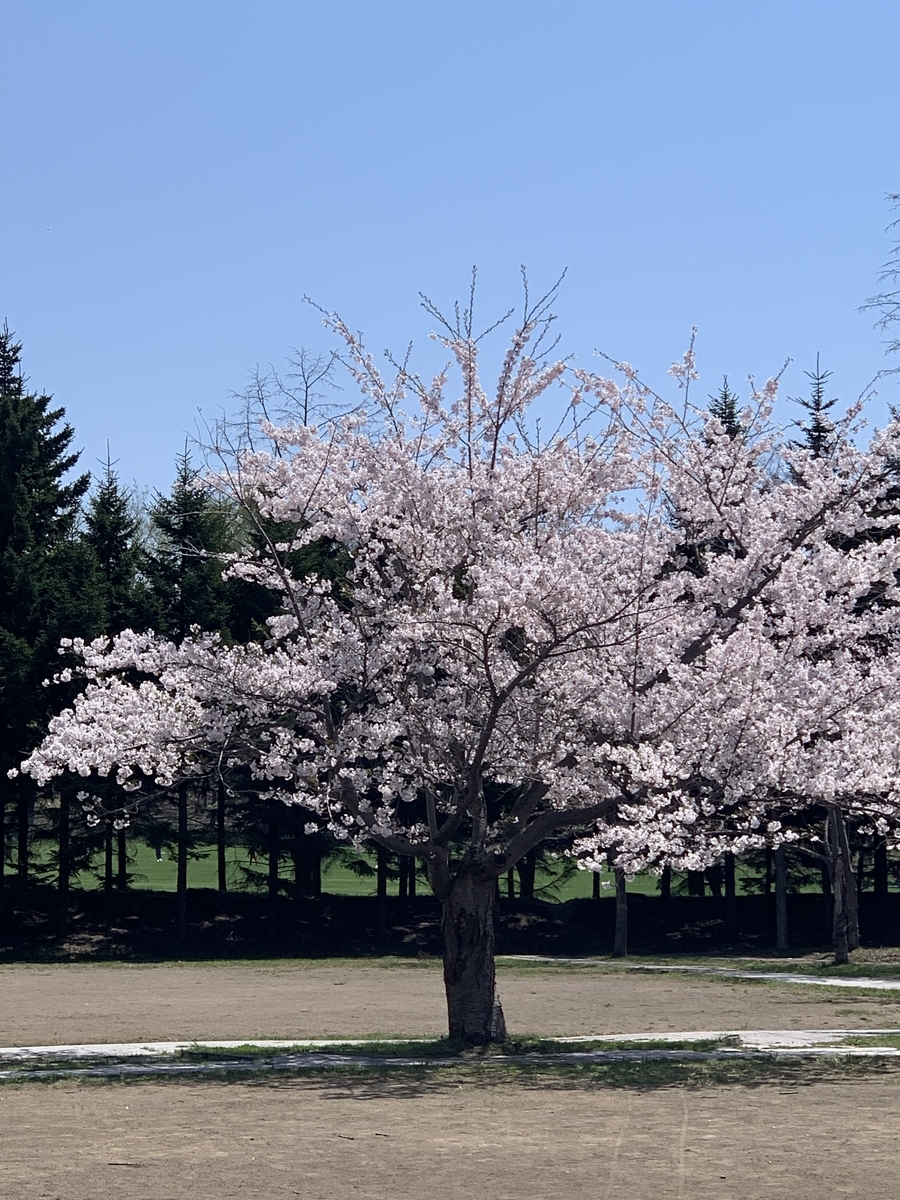 f:id:chocorash:20190509134238j:plain