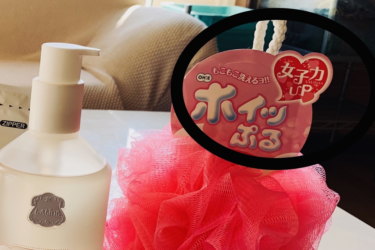 f:id:chocorash:20190513173442j:plain