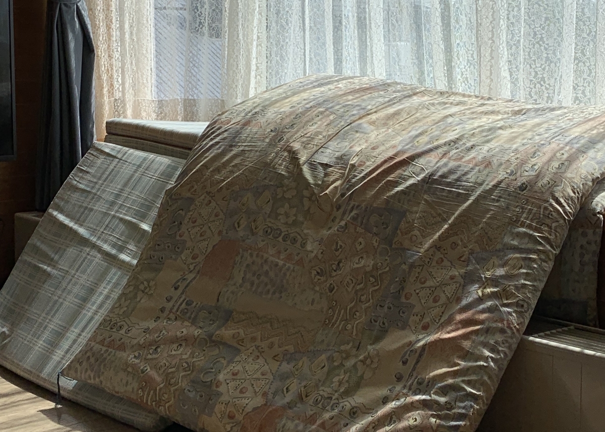 f:id:chocorash:20190527134914j:plain f:id:chocorash:20190527134914j:plain