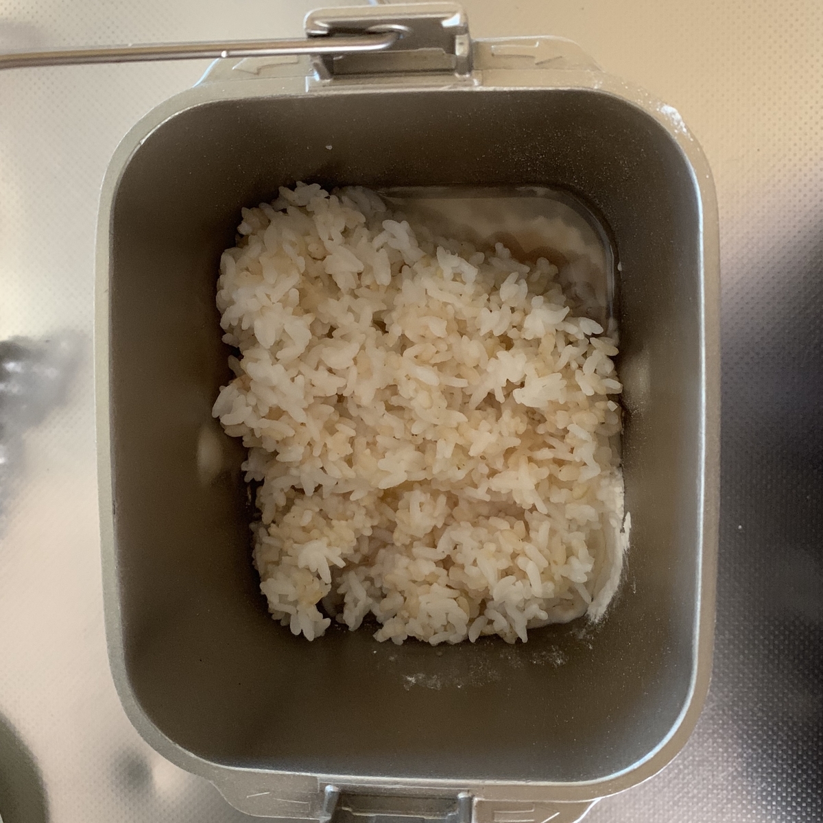 f:id:chocorash:20190529125046j:plain