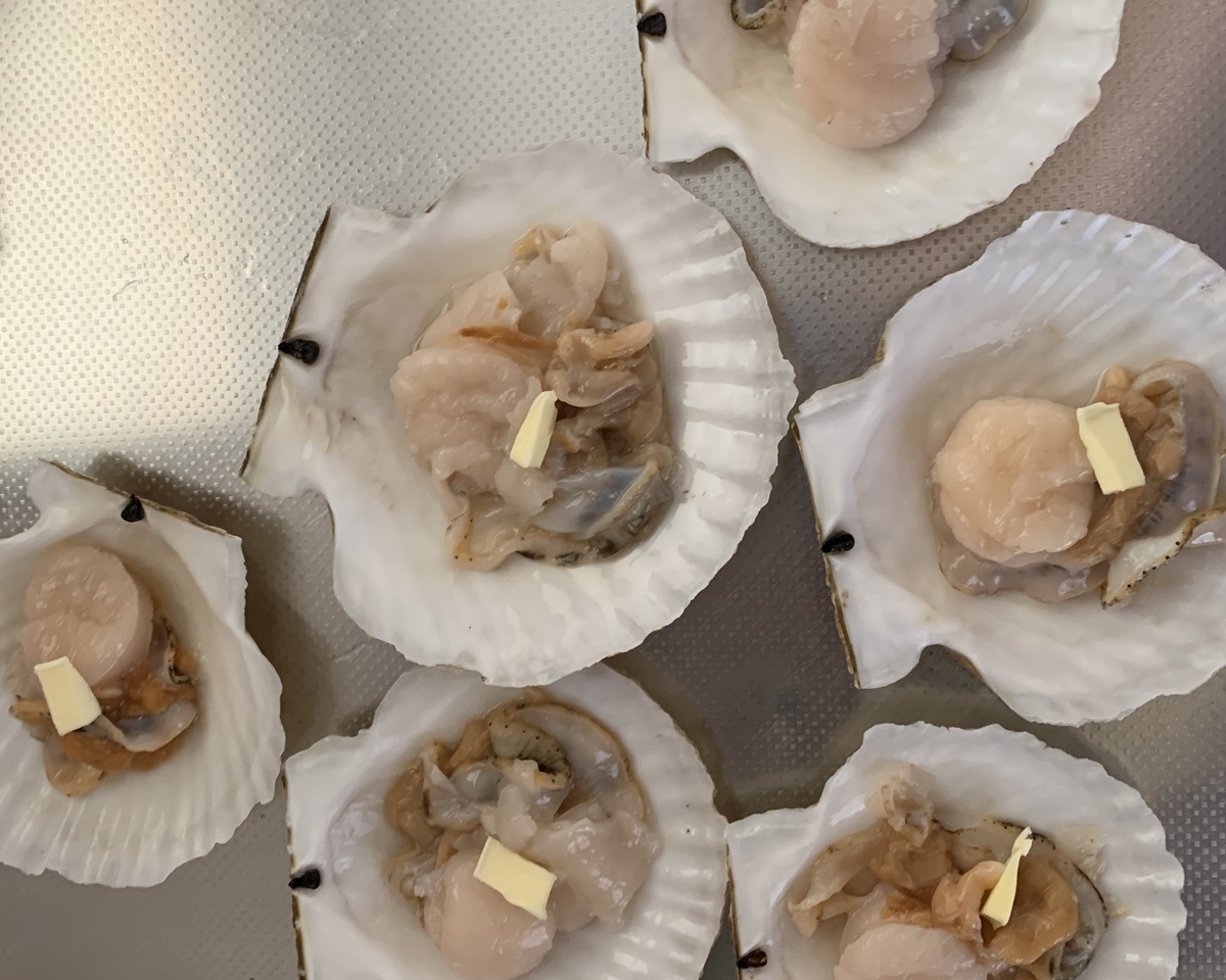 f:id:chocorash:20190609055812j:plain f:id:chocorash:20190609055812j:plain