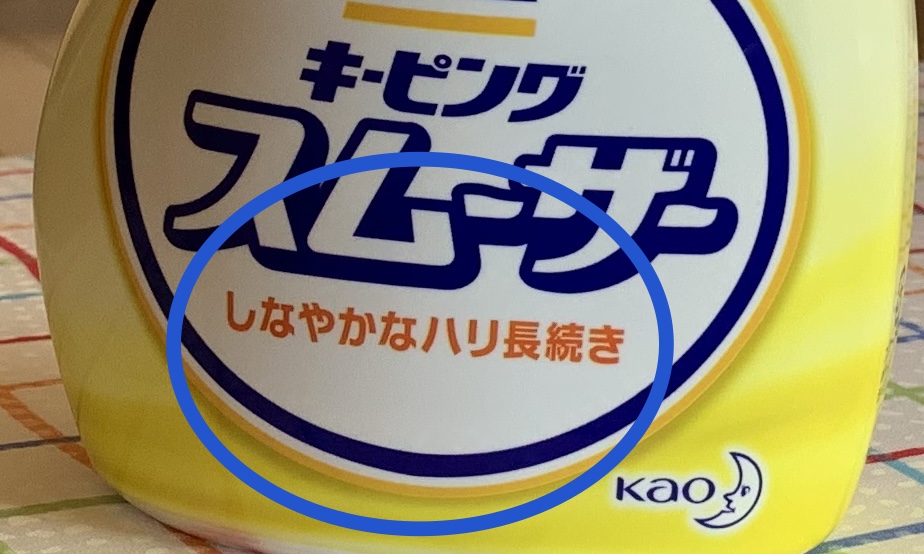f:id:chocorash:20190610144549j:plain