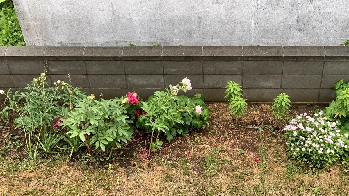 f:id:chocorash:20190616082503j:plain f:id:chocorash:20190616082503j:plain