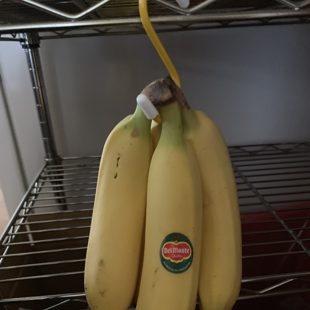 f:id:chocorash:20190617210107j:plain