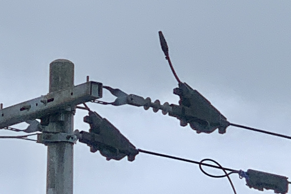 f:id:chocorash:20190628160642j:plain