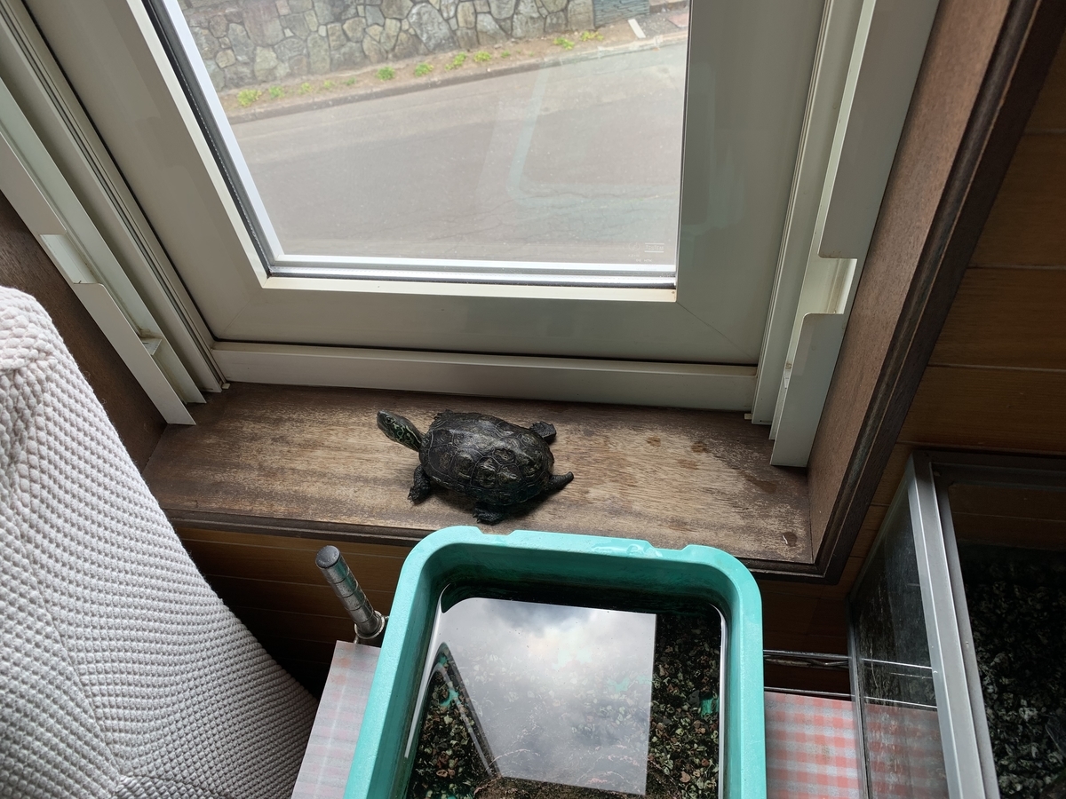 f:id:chocorash:20190630144853j:plain f:id:chocorash:20190630144853j:plain