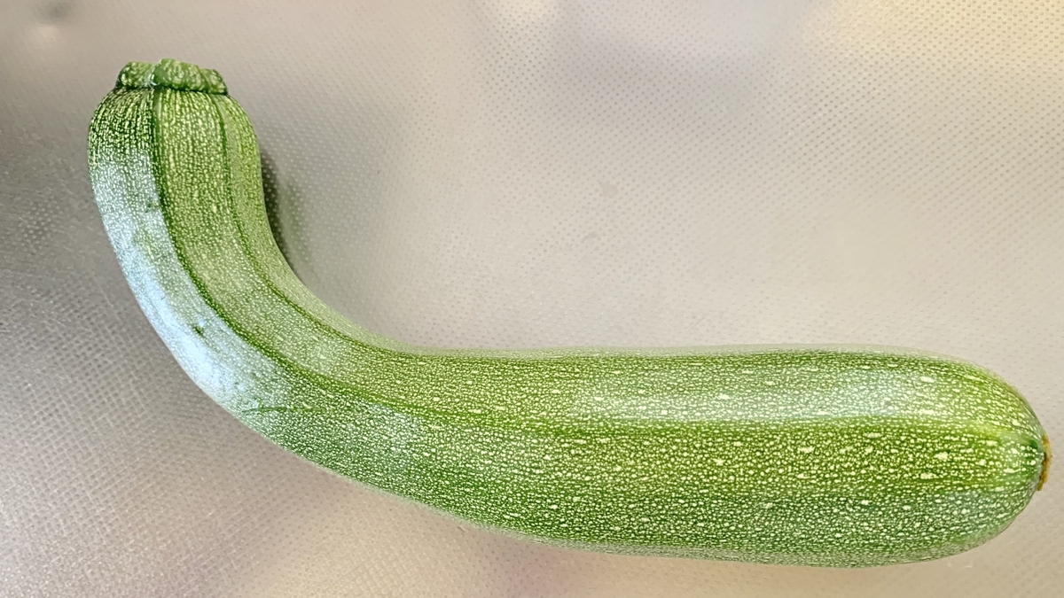 f:id:chocorash:20190724154748j:plain f:id:chocorash:20190724154748j:plain