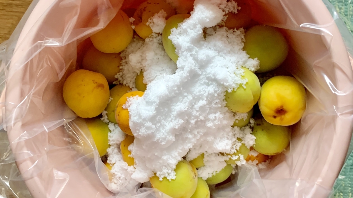 f:id:chocorash:20190801135335j:plain f:id:chocorash:20190801135335j:plain