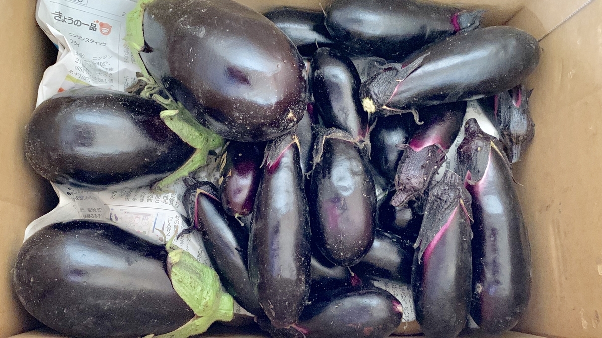 f:id:chocorash:20190802141420j:plain f:id:chocorash:20190802141420j:plain