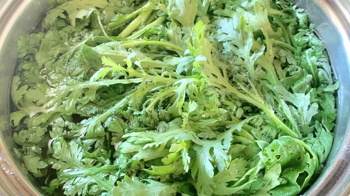 f:id:chocorash:20190802142717j:plain f:id:chocorash:20190802142717j:plain