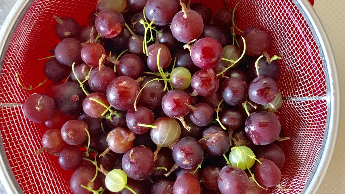 f:id:chocorash:20190802144203j:plain f:id:chocorash:20190802144203j:plain