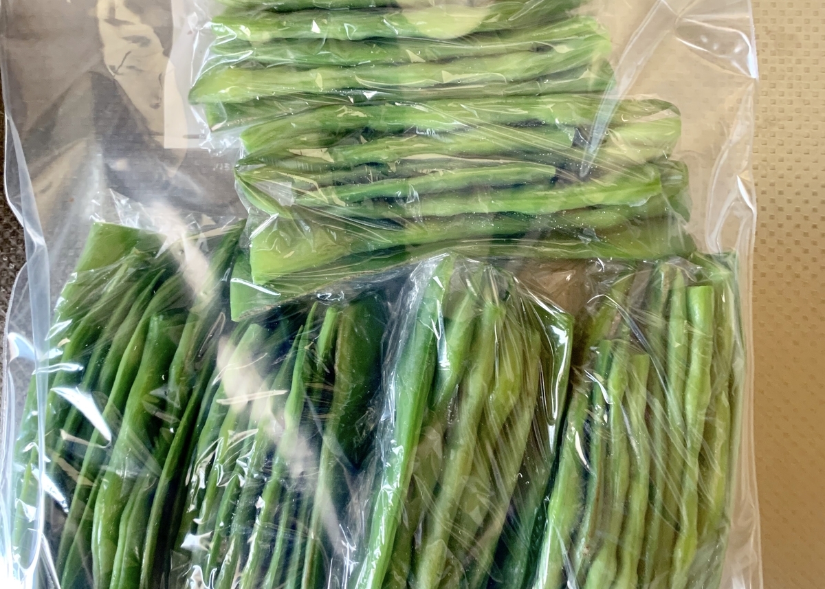 f:id:chocorash:20190804181518j:plain