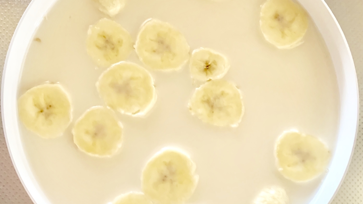 f:id:chocorash:20190807080203j:plain f:id:chocorash:20190807080203j:plain