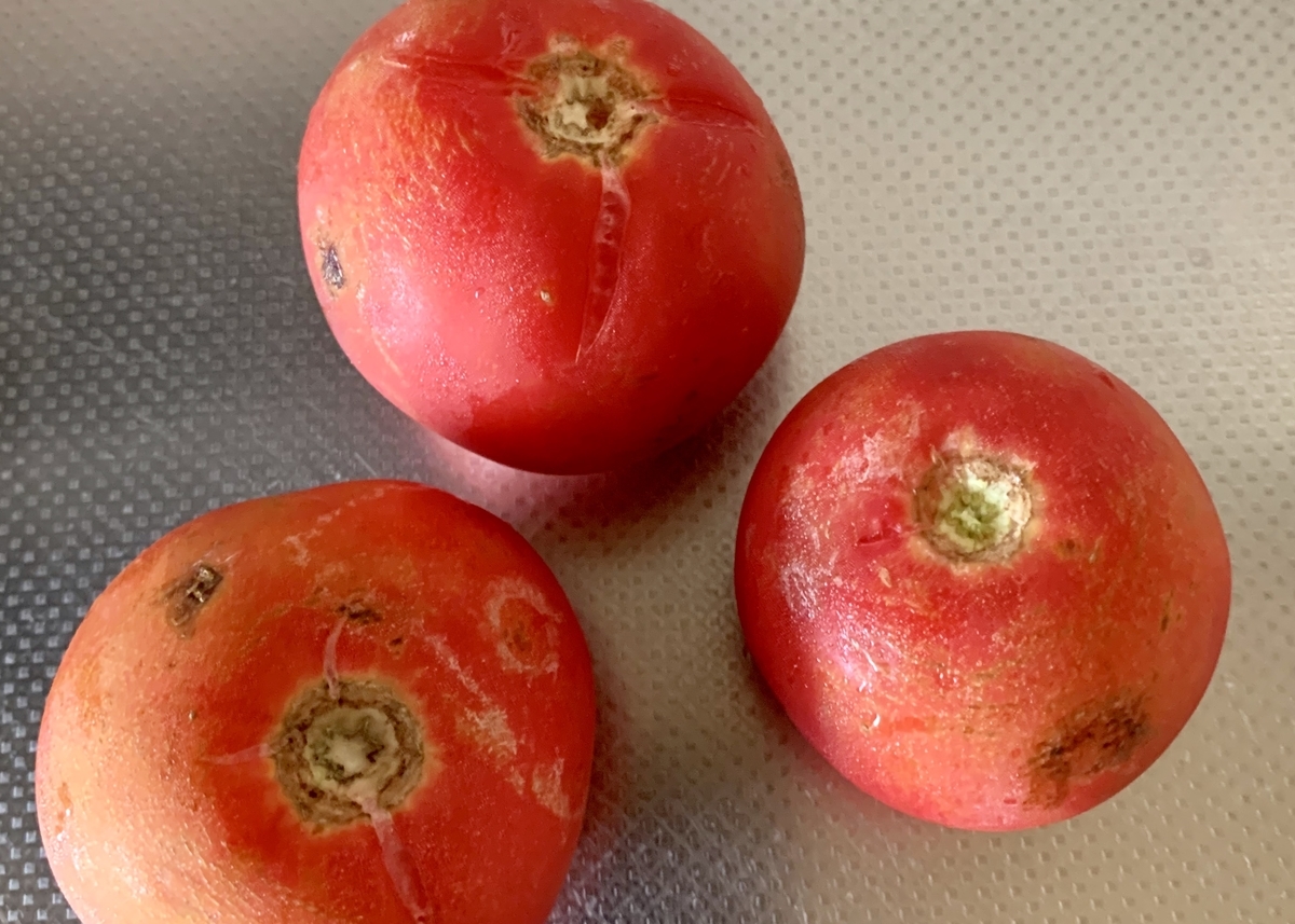 f:id:chocorash:20190807081839j:plain f:id:chocorash:20190807081839j:plain