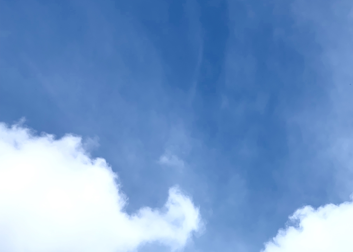 f:id:chocorash:20190811194008j:plain