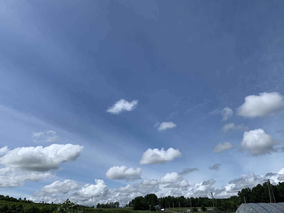 f:id:chocorash:20190811194128j:plain