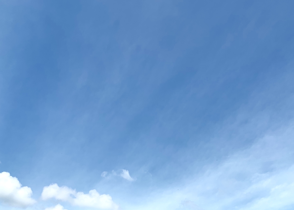 f:id:chocorash:20190811194240j:plain