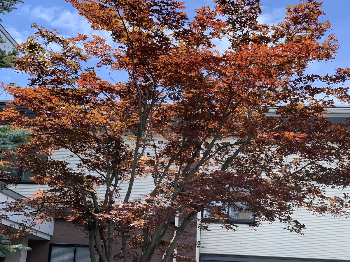 f:id:chocorash:20190811194554j:plain