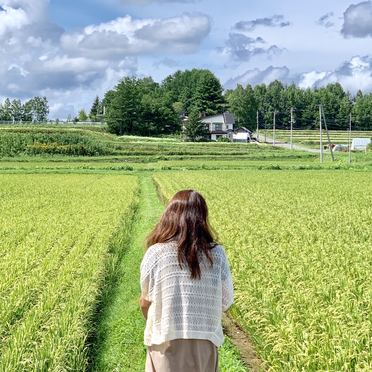 f:id:chocorash:20190811195913j:plain