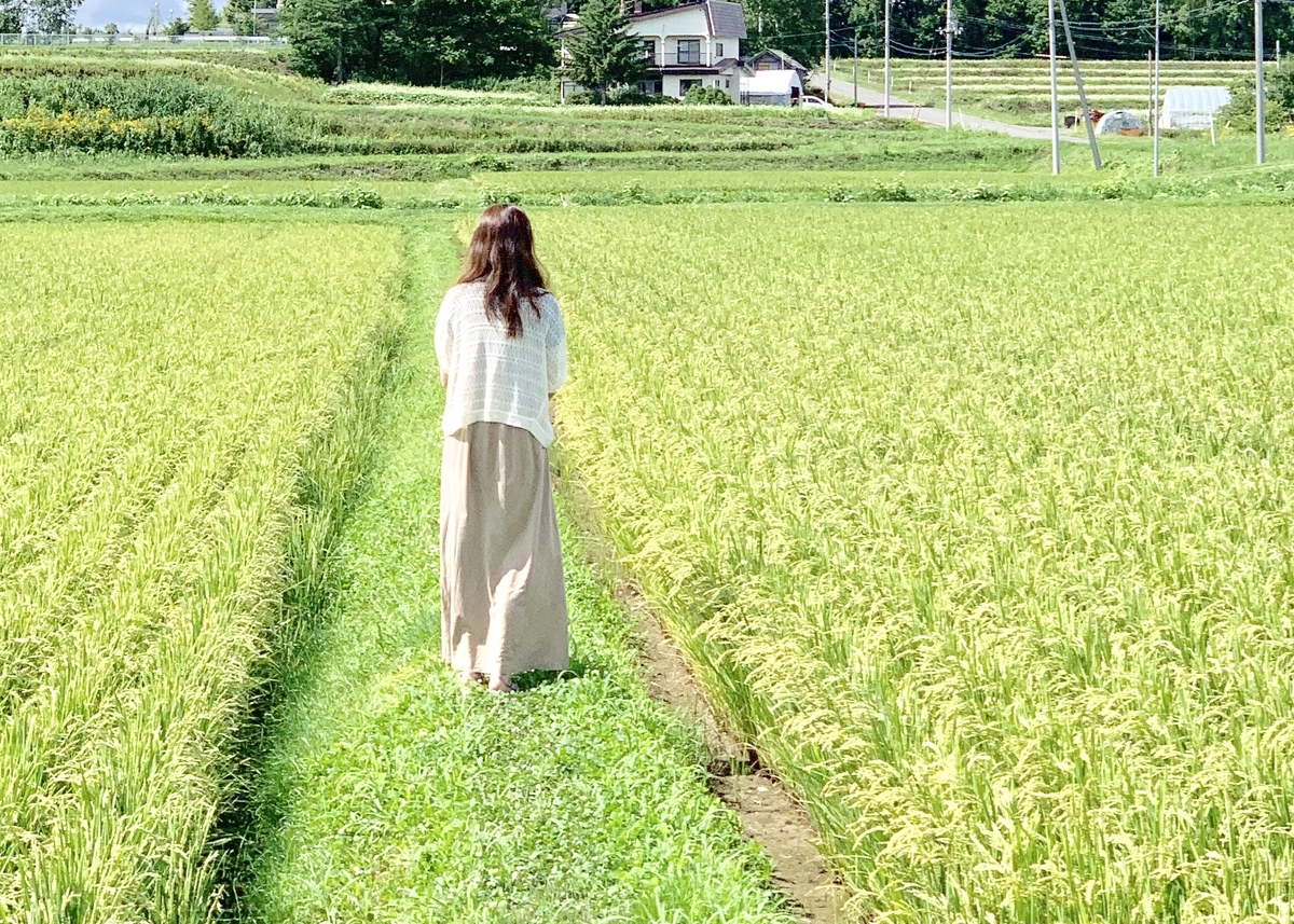 f:id:chocorash:20190811195935j:plain