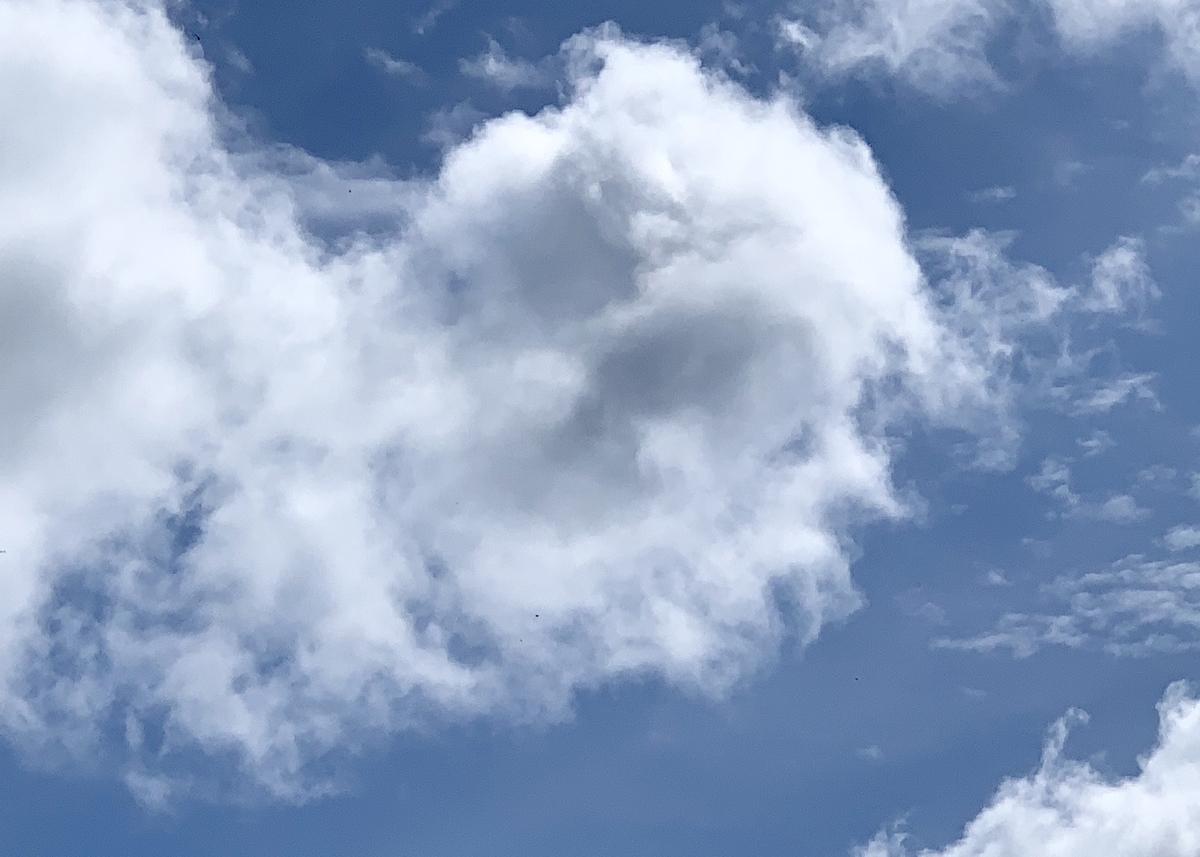 f:id:chocorash:20190814053610j:plain f:id:chocorash:20190814053610j:plain