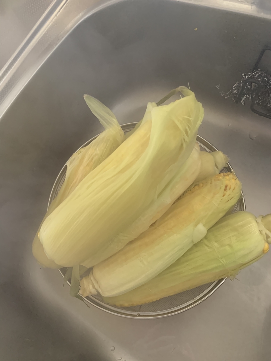 f:id:chocorash:20190814055635j:plain f:id:chocorash:20190814055635j:plain