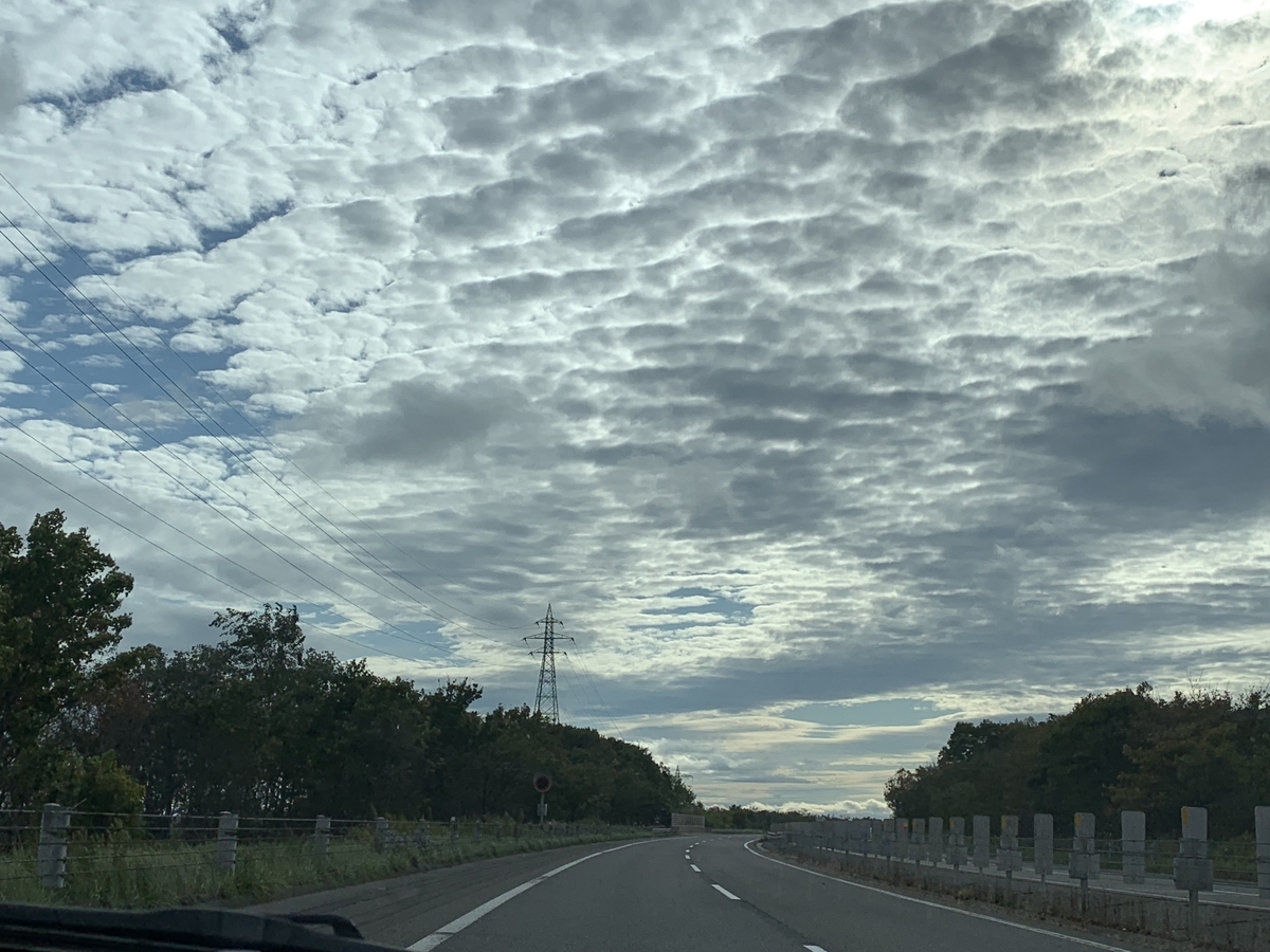 f:id:chocorash:20191006081927j:plain f:id:chocorash:20191006081927j:plain