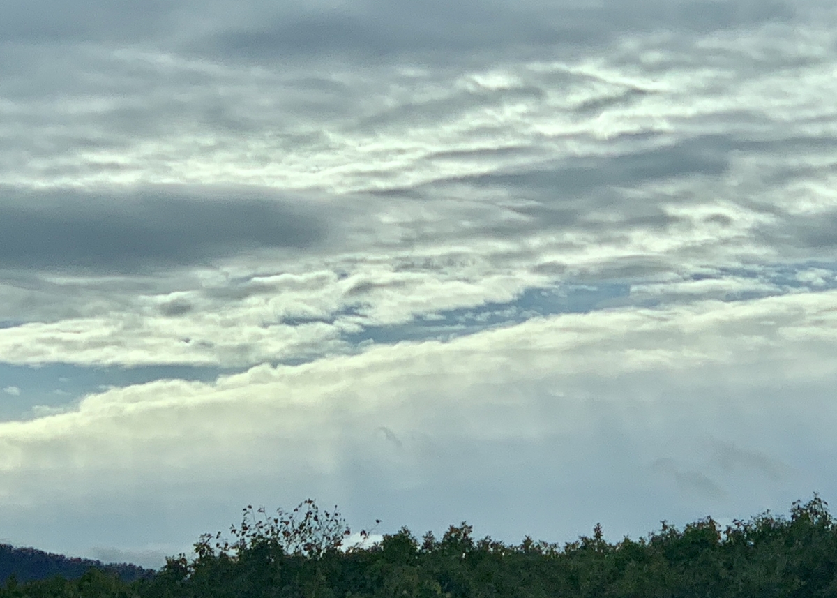 f:id:chocorash:20191006082126j:plain f:id:chocorash:20191006082126j:plain