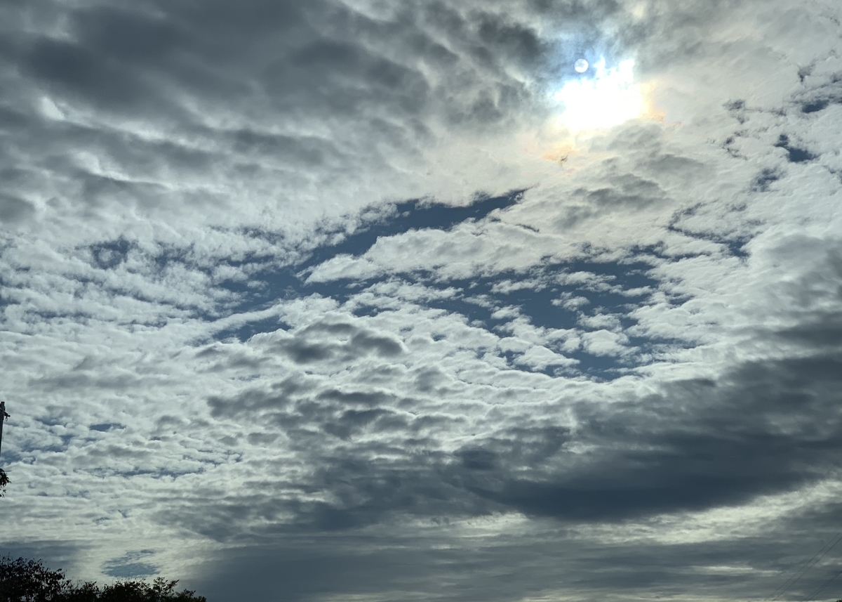 f:id:chocorash:20191006082326j:plain f:id:chocorash:20191006082326j:plain