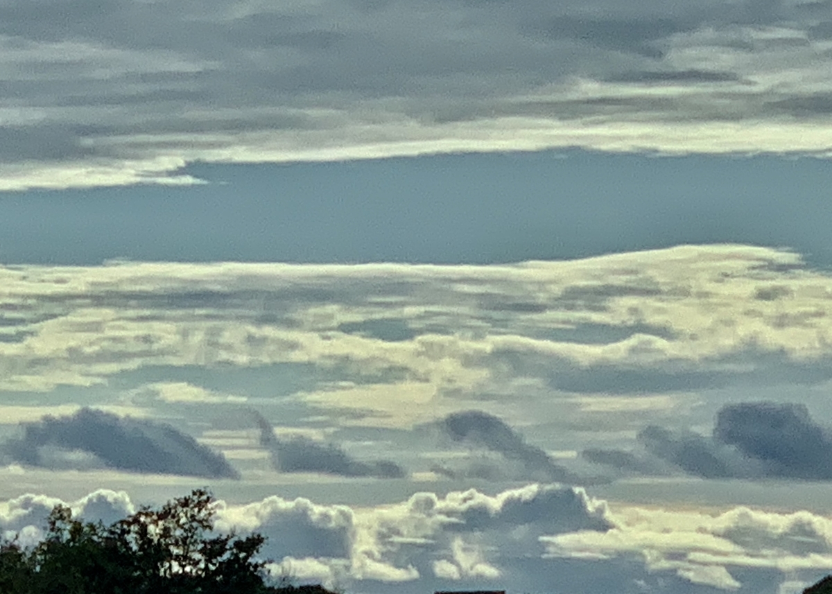 f:id:chocorash:20191006082401j:plain f:id:chocorash:20191006082401j:plain