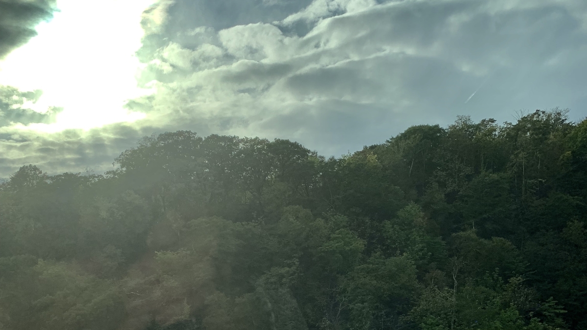 f:id:chocorash:20191006082818j:plain f:id:chocorash:20191006082818j:plain
