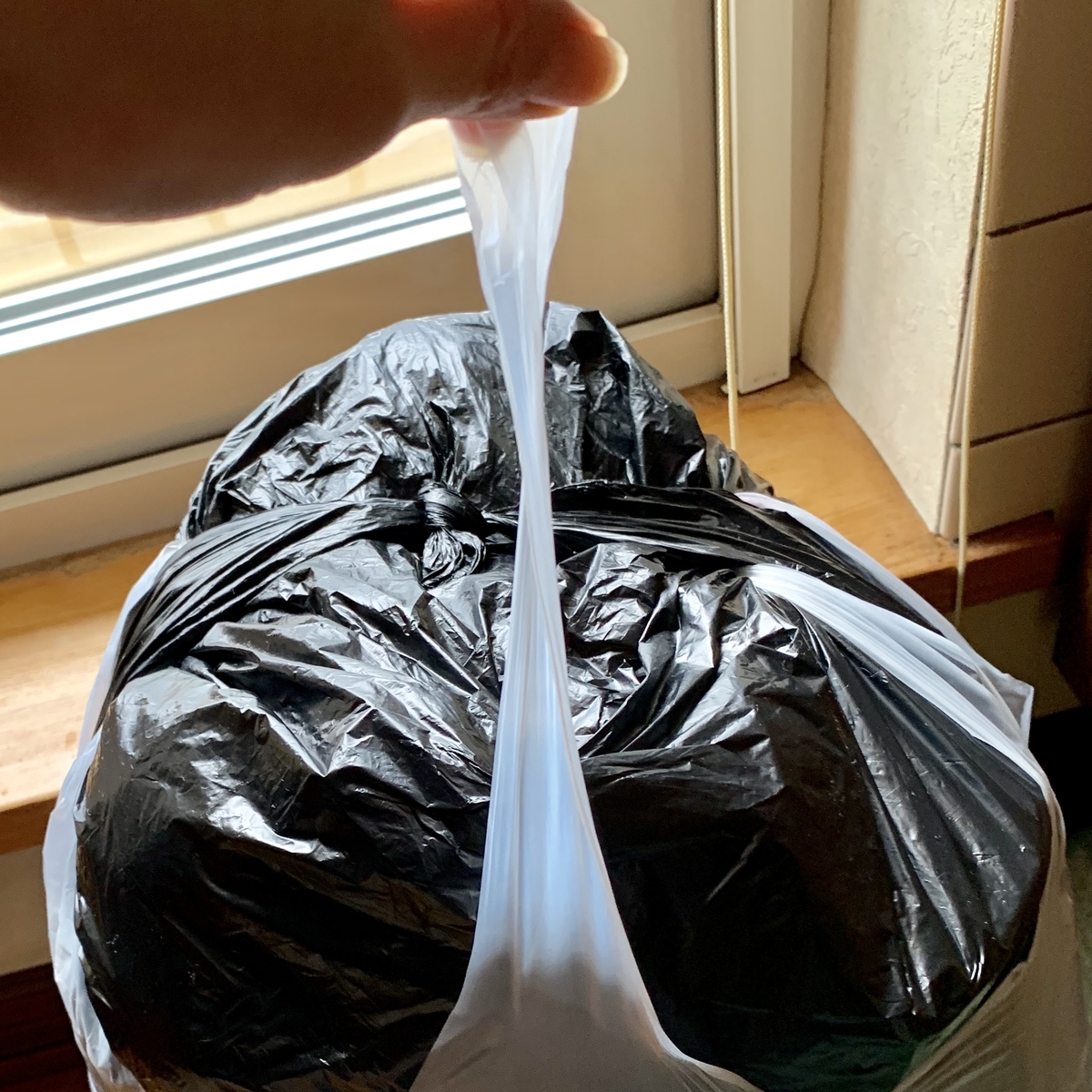 f:id:chocorash:20191008102655j:plain