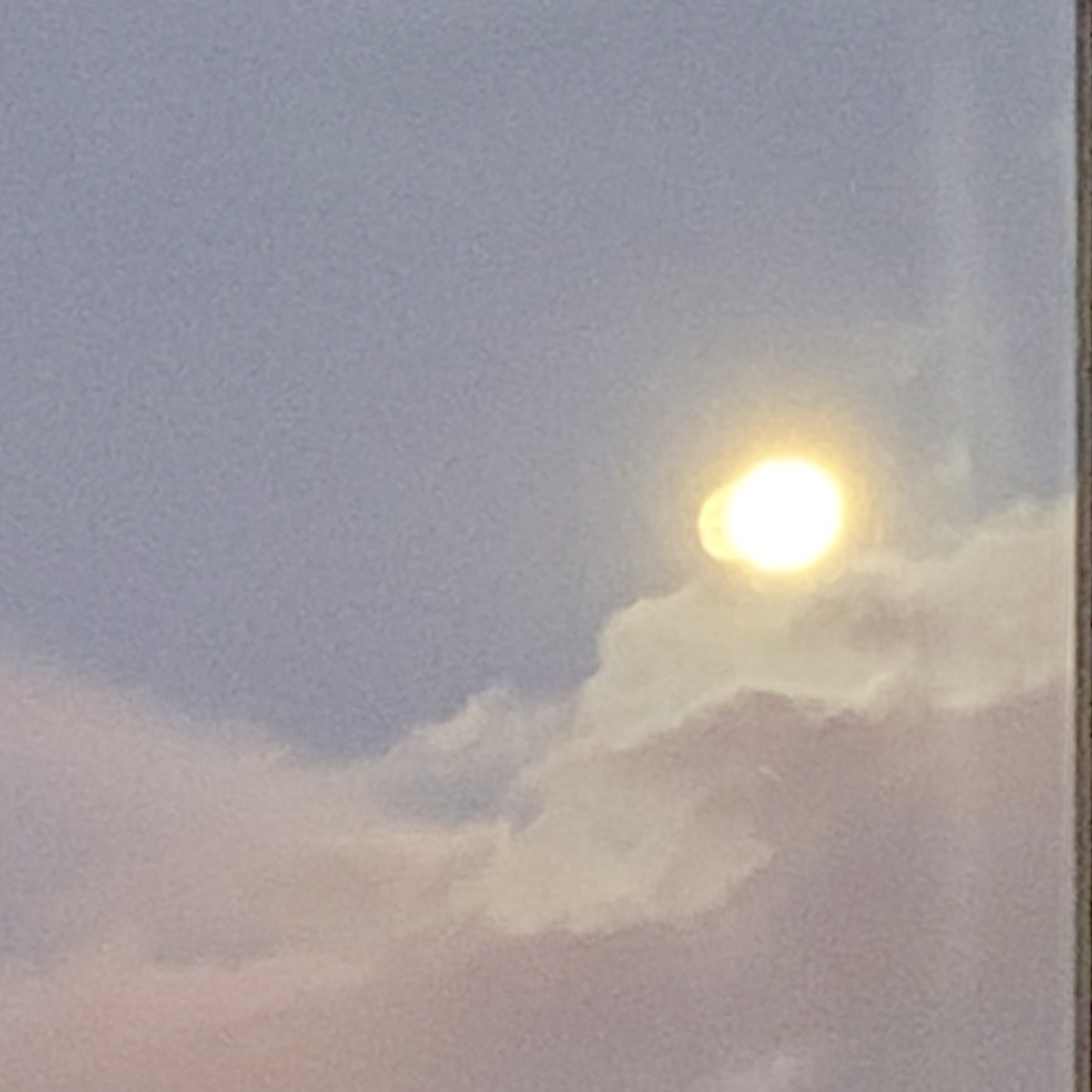 f:id:chocorash:20191016055016j:plain