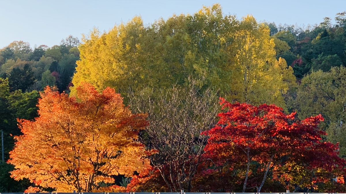 f:id:chocorash:20191110131415j:plain f:id:chocorash:20191110131415j:plain
