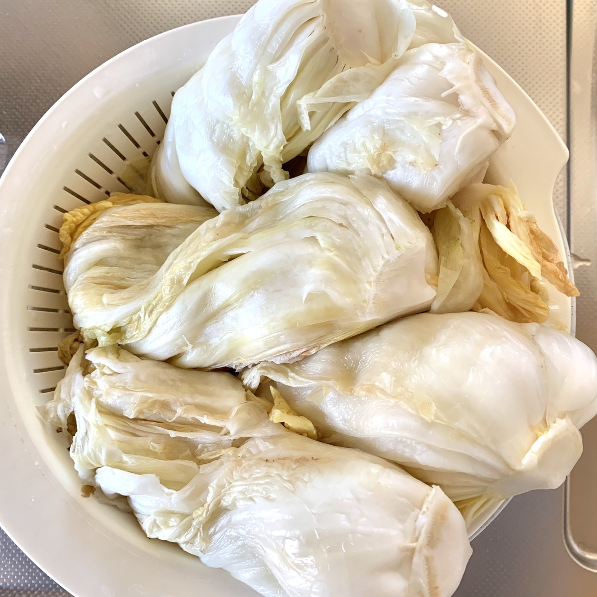 f:id:chocorash:20191110132055j:plain f:id:chocorash:20191110132055j:plain