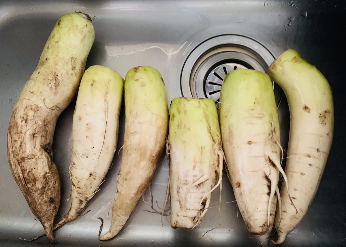 f:id:chocorash:20191114080128j:plain f:id:chocorash:20191114080128j:plain