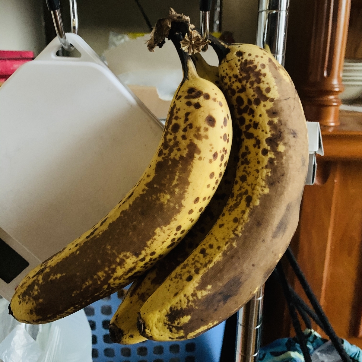f:id:chocorash:20191218151105j:plain f:id:chocorash:20191218151105j:plain