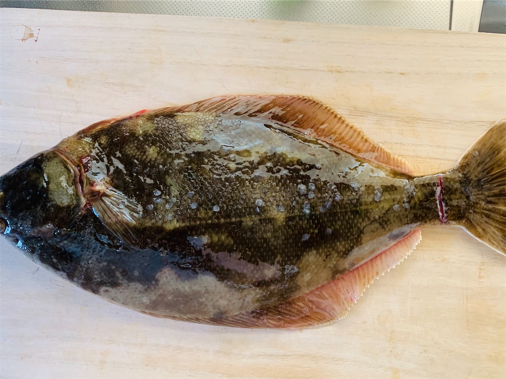 f:id:chocorash:20200607094234j:image f:id:chocorash:20200607094234j:image