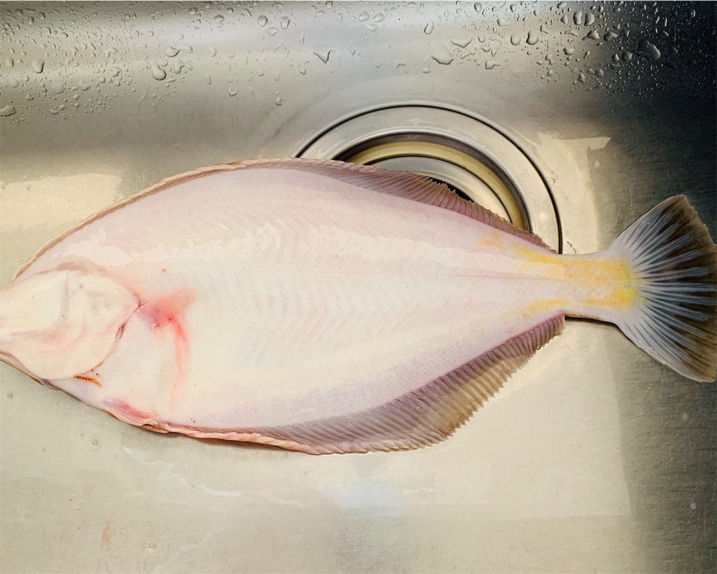 f:id:chocorash:20200607101856j:image f:id:chocorash:20200607101856j:image