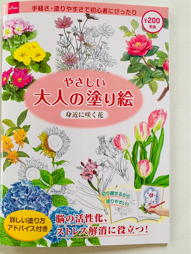 f:id:chocorash:20200704113336j:image f:id:chocorash:20200704113336j:image