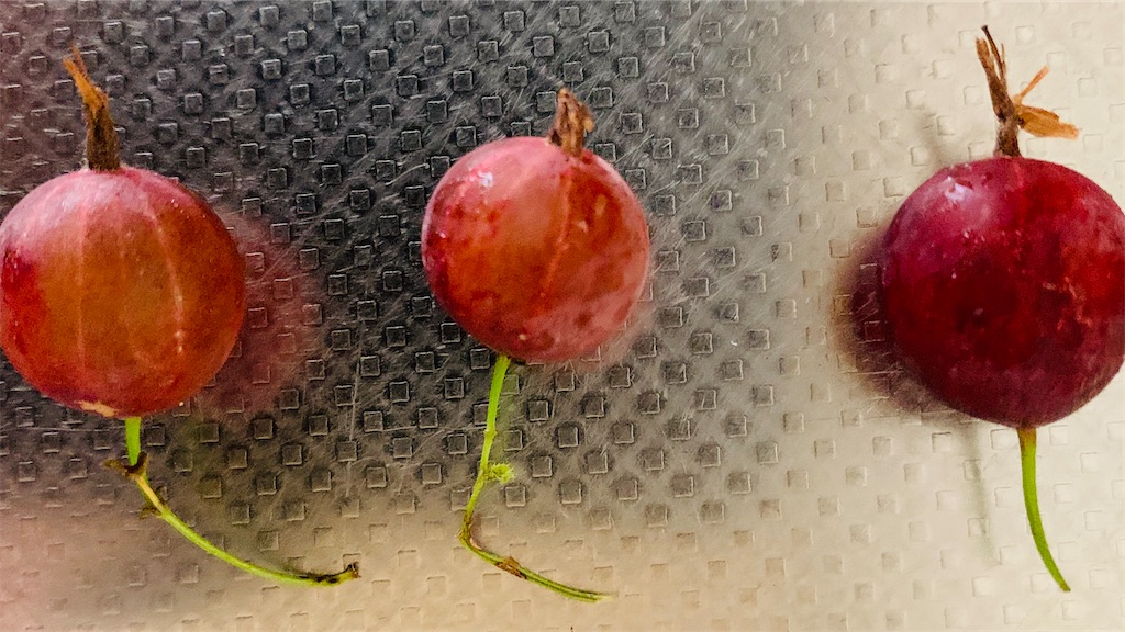 f:id:chocorash:20200812100005j:image f:id:chocorash:20200812100005j:image