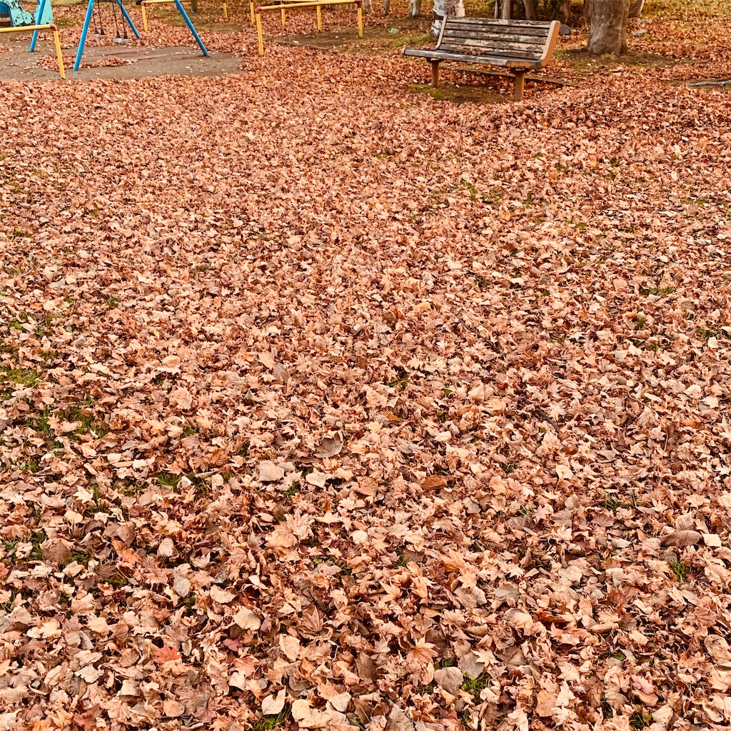 f:id:chocorash:20201123173322j:image