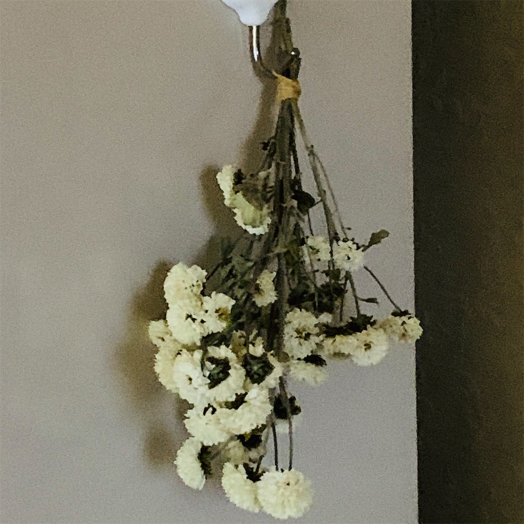 f:id:chocorash:20201209091341j:image