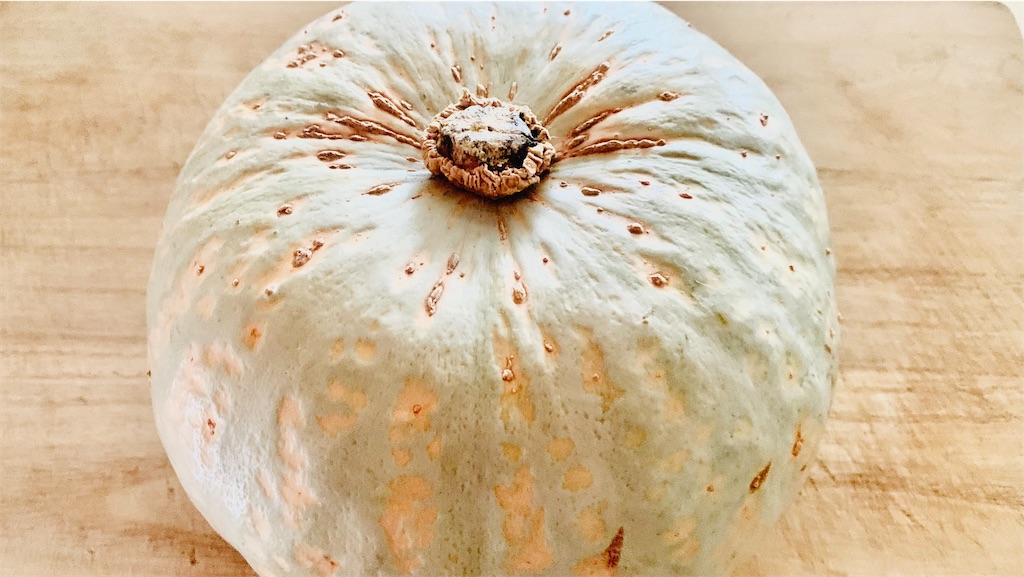 大きな大きな白いかぼちゃ 雪化粧 チョコラッシュ