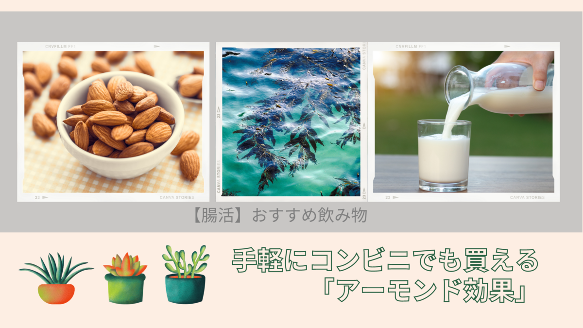 腸活 おすすめ飲み物 コンビニでも買える アーモンド効果 ひかまめ
